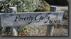 Poverty Gully Boutique Olive Grove picture 1